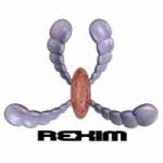 Rexim logo and the 3D figure Flower